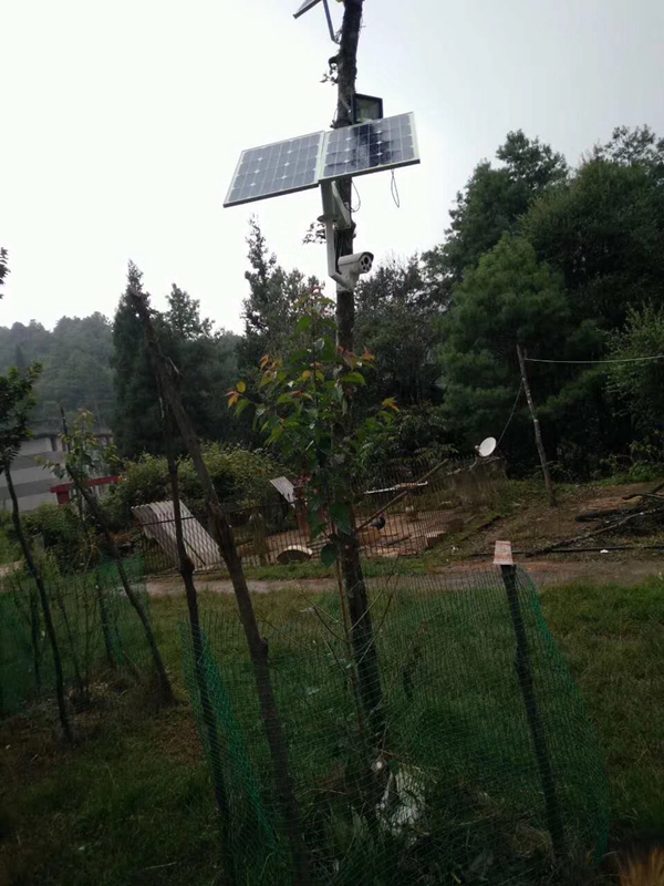 陜西漢中油菜基地用 OKEYSET 太陽能無線監控一體機