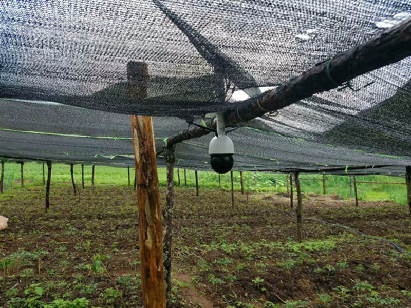 吉林大鵬蔬菜監控系統用okeyset太陽能監控攝像頭
