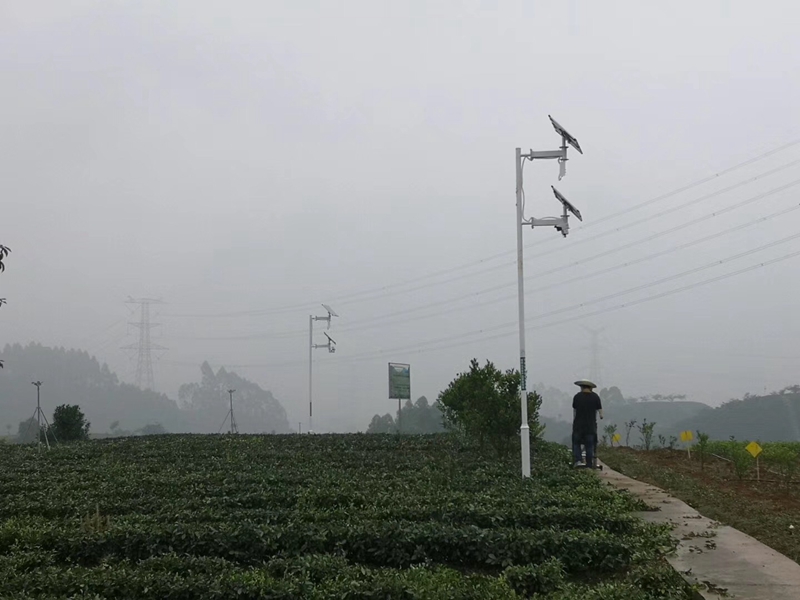 重慶中藥材基地用okeyset太陽能監控攝像頭