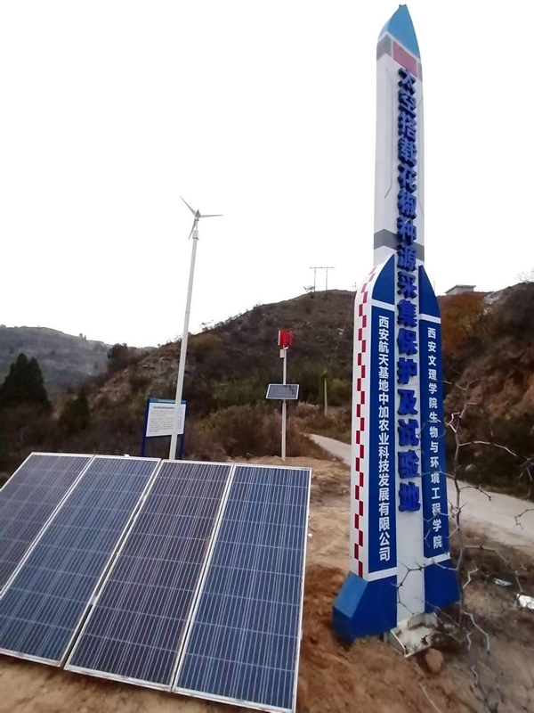 陜西渭南澄城縣太空花椒魚苗基地用集創科技太陽能供電系統