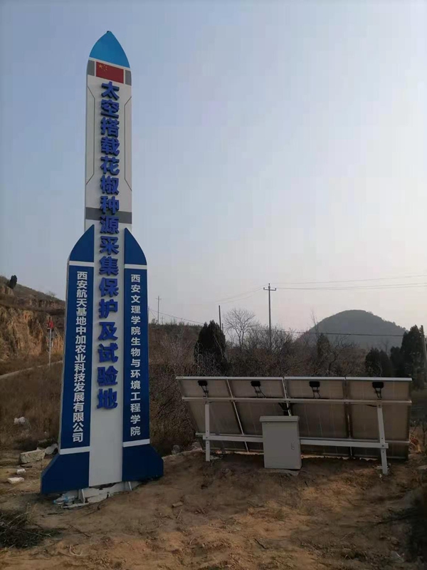 陜西太空花椒育苗基地用集創科技太陽能供電系統